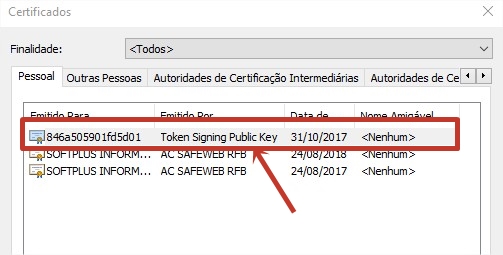 Certificados Instalados > Emitido por Token Signing Public Key