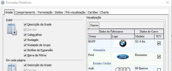 Tela Formatar Relatório